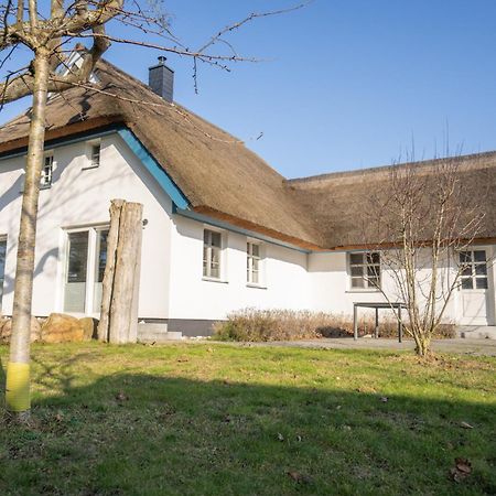 Haus Tadder Vila Born Exterior foto